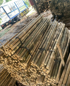 Venta Caliente de Varas de Bambú para Fabricación de Muebles, Construcción y Diseño de Interiores - Product Image 4