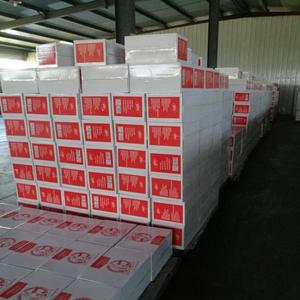 El mejor precio levadura seca instantánea para exportación de panadería - Product Image 5