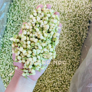 ดอกมะลิอบแห้งออร์แกนิกคุณภาพสูงสำหรับตลาดสมุนไพรพิเศษ - Product Image 4