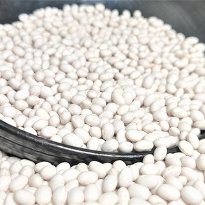 ถั่วขาวออร์แกนิค 100% ขนาดใหญ่ แบบดิบ อบแห้ง เกรดพรีเมียม - Product Image 1