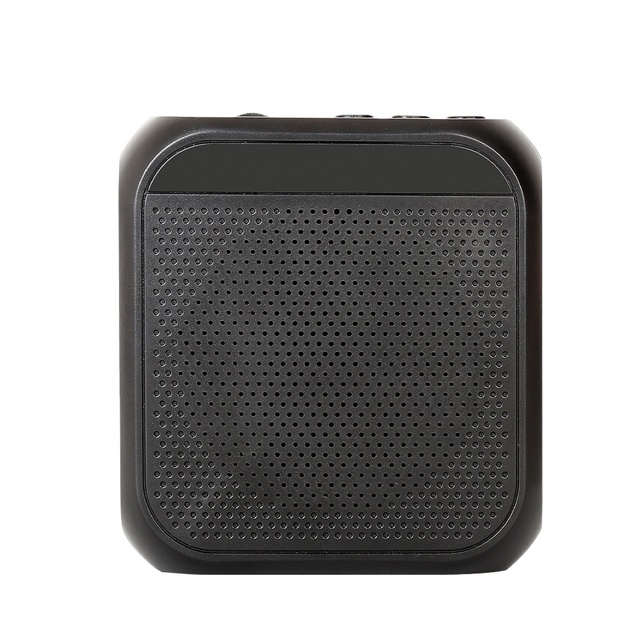 Biner G6 Professional Portable USB Loudspeaker Wireless Lavalier Microphone for Teaching