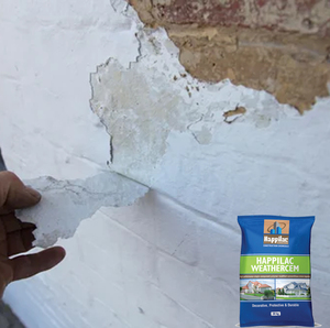 One-Component Water-Based Eco-Friendly Elastomer <b>Paint</b> Liquid Acrylic Cement Exterior Plaster <b>for</b> Brick Walls Damp Proof Seepage - Product Image 6