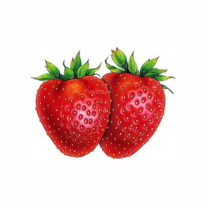 Fraises biologiques, fruits frais, saveur naturelle et sucrée, produits tropicaux de première qualité, exportateurs en gros, qualité supérieure - Product Image 6