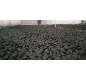 Best Selling Hexagonal Coconut Shell Briquette Charcoal <b>for</b> <b>Camping</b> or Picnic and Outdoor Events Available at Best Price - Product Image 4