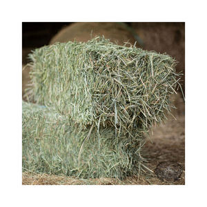 Se vende heno de pasto a granel de alta calidad, envío rápido, tarifas al por mayor asequibles - Product Image 1