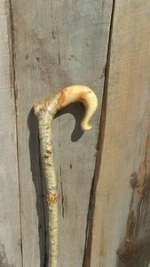 Prix ASSISTANT Canne en bois réglable avec nœuds multiples Bâton de marche en bois solide pour les aînés par Standard International - Product Image 5