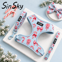 SinSky-ensemble de laisse pour chien, collier à nœud papillon, transporteur réversible pour animaux de compagnie, ensemble de laisse pour chien de luxe avec distributeur de sac à merde