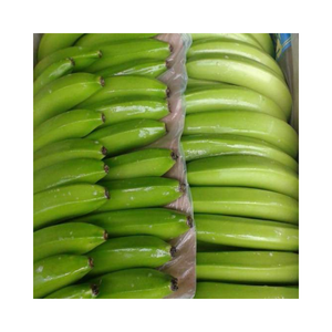 Venta al por mayor de banana Cavendish fresca orgánica de alta calidad, Banana Cavendish fresca de Vietnam, fruta verde tropical de alta calidad - Product Image 1