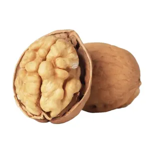 Wholesale cheap prices raw walnut shelled dry walnuts for sale 2024