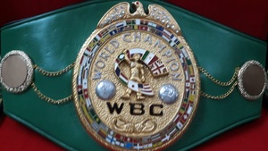 Cinturones de campeonato de boxeo Trofeos Medallas y premios el símbolo definitivo de la victoria y la excelencia Cinturones de Campeonato - Product Image 2