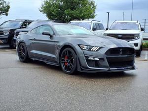 Ford Shelby 2022 - Product Image 4