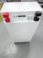 Batterie de stockage d'énergie domestique Skyline Innovation 16 kWh 51,2 V LiFePO4 solaire hybride IP65 CAN, empilable et mobile