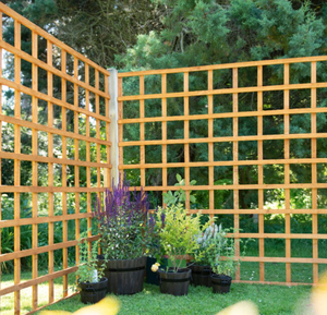 Panneaux de treillis en bois FSC 100% pour plantes grimpantes - Product Image 1