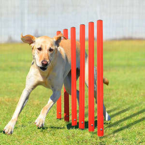 Kit d'entraînement aux obstacles en plastique pour chiens - Product Image 4