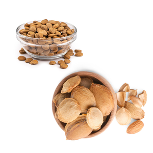 Noyau d'abricot | Utilisé en aromathérapie et huiles de peau - Product Image 2