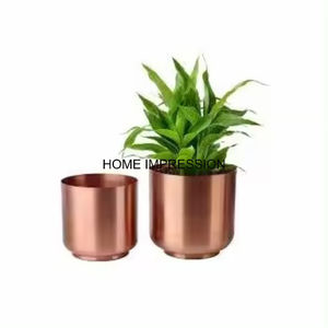 Maceta de Metal de estilo moderno para sala de estar, dormitorio, soporte para plantas, maceta de exhibición para plantas de interior, Color dorado, pulido brillante - Product Image 3