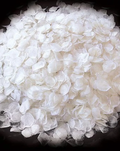 MATERIA PRIMA DE ESCAMAS DE PESCADO / SUMINISTRO ESTABLE PARA EXPORTACIÓN DESDE VIETNAM - Product Image 3