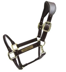 Vente en gros Premium Quality Crocodile Imprimé Anatomique Cheval Halter Rembourrage Souple Muserolle Cheval Équipement Fabricant Direct - Product Image 6