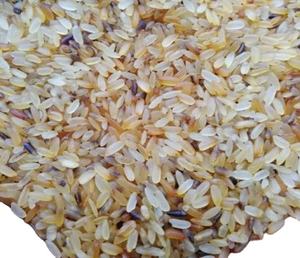 Rejet du riz d'Inde pour l'alimentation animale - Product Image 6