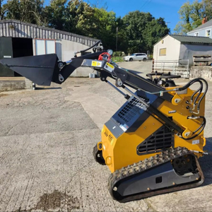 Livraison gratuite bon marché Mini Skid Steer moteur CE EURO5 EPA Skidsteer roue diesel sur chenilles Mini chargeuse sur chenilles pour tout terrain - Product Image 1