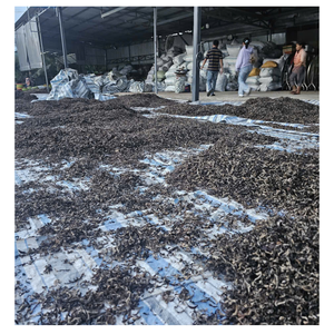 Nuage de champignon d'oreille en bois séché à haute teneur en fibres Nuage de champignon d'oreille en bois séché pour la cuisine végétalienne Exportation biologique naturelle - Product Image 6