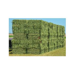 Quality Alfalfa Hay for <b>Animal</b> <b>Feeding</b> - Product Image 3
