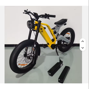 Vélo électrique tout-terrain Akezz 20 pouces, neuf, prix imbattable, 750W/1500W, style rétro, pneus larges, pour adulte - Product Image 1