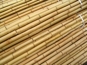 Thân thiện với môi tre <span class=keywords><strong>t</strong></span>ự nhiên <span class=keywords><strong>c</strong></span>ự<span class=keywords><strong>c</strong></span>/Gậy/Ống | <span class=keywords><strong>t</strong></span>ấ<span class=keywords><strong>t</strong></span> <span class=keywords><strong>c</strong></span>ả <span class=keywords><strong>c</strong></span>á<span class=keywords><strong>c</strong></span> kích <span class=keywords><strong>c</strong></span>ỡ <span class=keywords><strong>c</strong></span>ó sẵn | OEM tre <span class=keywords><strong>c</strong></span>ự<span class=keywords><strong>c</strong></span> Việ<span class=keywords><strong>t</strong></span> Nam - Product Image 4