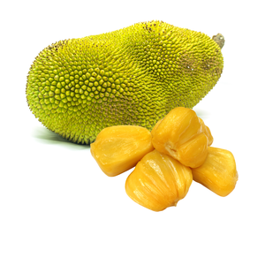 Fruit de jacquier séché biologique de haute qualité frit sous vide conservé avec de l'huile Jackfruit croustillant directement Vietnam/ Lima - Product Image 1