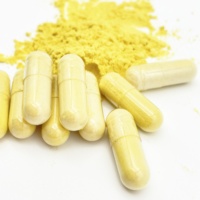 Capsules vides à libération retardée, halal, sans TiO, en gélatine, HPMC ou végétales, vente en gros en vrac, directement de l'usine