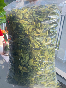 Feuilles de citron vert, produit culinaire du Vietnam, utilisées pour assaisonner les recettes, les cuisines de restaurants et la production d'aliments emballés - Product Image 3