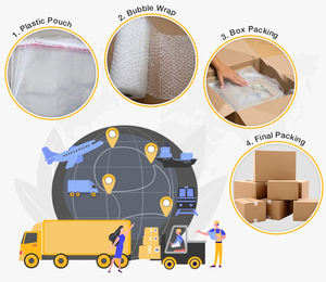 Pendientes de Acero Inoxidable Plateados para Mujer, Recién Llegados, Elegantes, con Piedras y Perlas, Regalo de Compromiso o Aniversario - Product Image 6