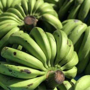 Plátanos Cavendish Frescos de Primera Calidad - Calidad de Exportación Clase I - Suministro a Granel - Product Image 3