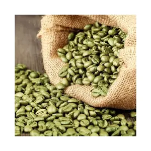 도매 프리미엄 하이 퀄리티 원시 커피 콩 농장 학년 100% 천연 아랍어 녹색 커피 콩