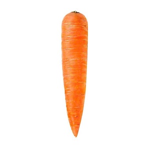 Fournisseur en gros de carottes fraîches de qualité biologique, couleur rouge, taille 15 cm, quantité en vrac, prêtes à l'exportation - Product Image 4