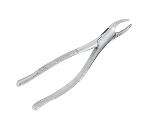 Fórceps de dientes de incisivo curvos eficientes, herramienta de Odontología Veterinaria de caballo reutilizable de acero inoxidable para procedimientos dentales equinos - Product Image 2