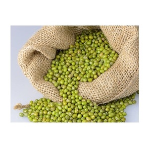 Wholesale Supplier Of Bulk Fresh Stock of Green Mung <b>Beans</b> / Whole Moong <b>Beans</b> - Product Image 3