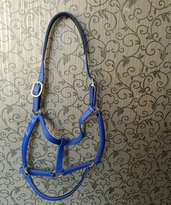 Equestrian Waterproof PVC Horse <b>Halter</b> Harness Equipment for Endurance Riding Made Strong Professional Manufacturer Kanpur India - Product Image 6