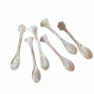 Cuillères en nacre de qualité supérieure, petites cuillères à caviar, ensemble de vaisselle durable en vrac pour les restaurants de fruits de mer, la restauration, les cadeaux - Product Image 1