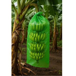 บานาน่าบันชท์ยอดนิยม1000กก. ถุงพลาสติกพีพีกั้นสำหรับปลูกผลไม้ - Product Image 2