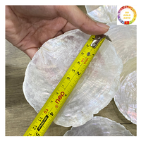 Pièces naturelles polies en coquille de Capiz blanc brut pour la décoration de la maison, rideau inspiré de la plage nautique et artisanat de mariage
