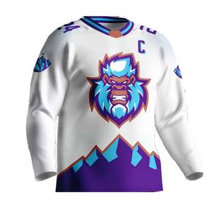 BETHERIVAL Custom <b>Embroidery</b> Hockey Hoodie Sublimation Ice Hockey Uniform Jersey Haus Industries - Product Image 6