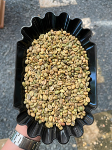เมล็ดกาแฟดิบคุณภาพสูงสำหรับการค้าส่งเชิงพาณิชย์ กระบวนการอบแห้งแบบ Green Coffee Beans Excelsa ได้รับการรับรอง ผลิตจากเวียดนาม บรรจุถุง 60 กก. - Product Image 3