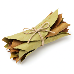 Hojas de Guanábana secadas al sol ¡Producto agrícola vietnamita premium a una gran ganga! - Product Image 5