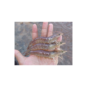 เหยื่อตกปลา TPR 90mm/6g เหยื่อกุ้งนุ่ม - Product Image 3