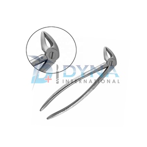 คีมสกัดสแตนเลสแบบภาษาอังกฤษรากล่าง33B ด้วยเครื่องมือทันตกรรมคุณภาพสูง - Product Image 1