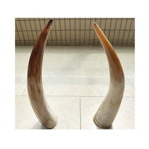 Cuerno vikingo para beber auténtico rústico tallado jarra estilo medieval Guerrero taza hecha a mano natural nórdico hidromiel - Product Image 1