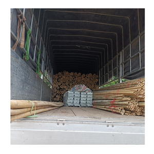 Poteaux en bambou solides pour une construction fiable Poteaux en bambou naturels pour le pont extérieur et la construction structurelle - Product Image 3