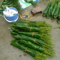 Big Dong laisse des feuilles de Dong vertes fraîches pour emballer des aliments décorés du Vietnam