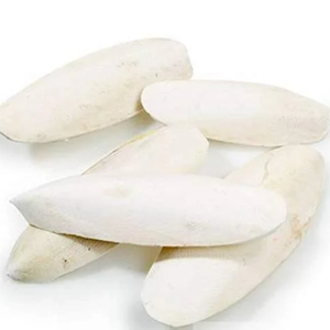 HUESO SECO DE SEPIA DE ALTA CALIDAD AL POR MAYOR PARA MASCOTAS Y REPTILES - Product Image 1